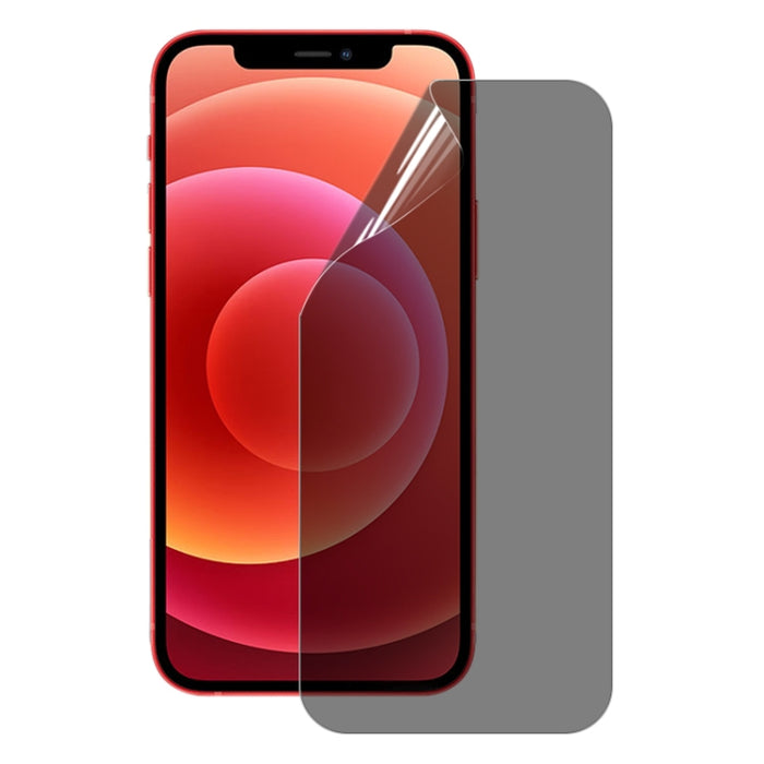 0.1mm 2.5D Cubierta completa Anti-espía Protector de pantalla Película de hidrogel a prueba de explosiones