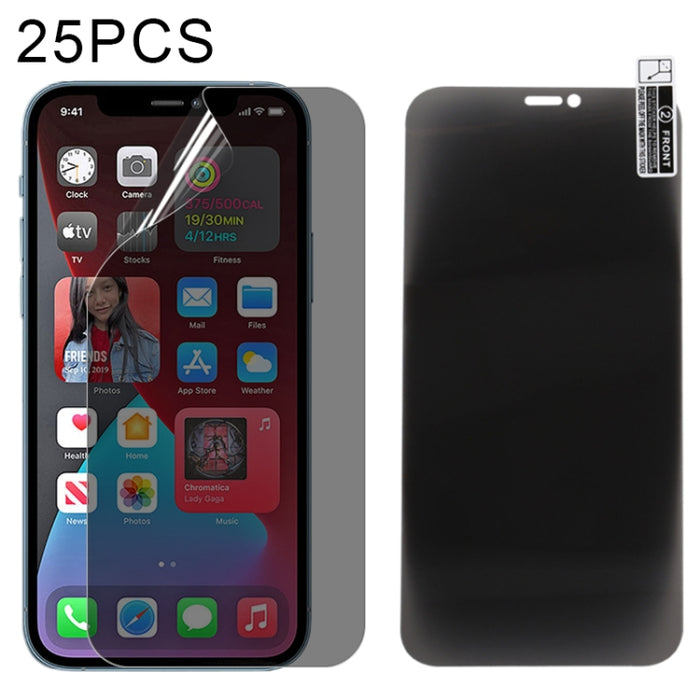 25 PCS 0.1mm 2.5D Cubierta completa Anti-spy Protector de pantalla Película de hidrogel a prueba de explosiones