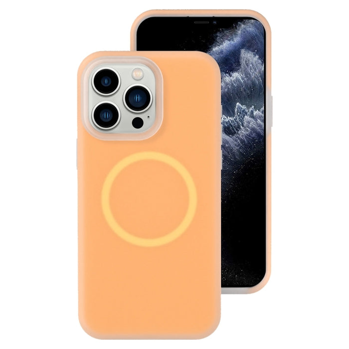 Funda magnética para teléfono con silicona líquida Jelly MagSafe, For iPhone 12 Pro, For iPhone 11 Pro Max, For iPhone 11, For iPhone 11 Pro