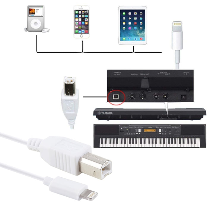 Adaptador de cable MIDI de 1 m, 8 pines a tipo B macho para piano/piano electrónico