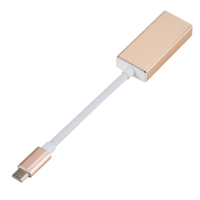 Convertidor USB-C / Type-C 3.1 macho a DP hembra HD, longitud: 12 cm