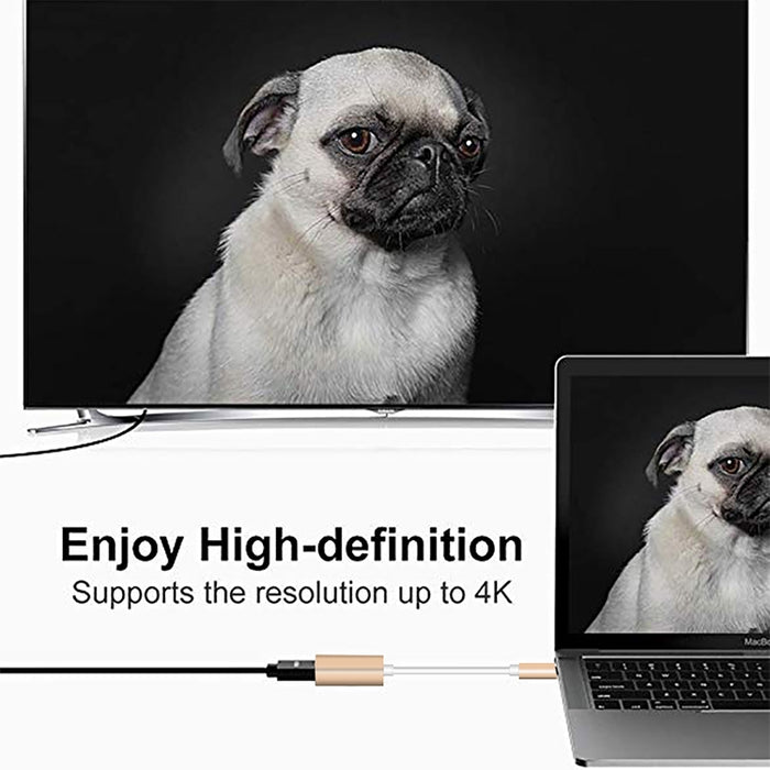 Convertidor USB-C / Type-C 3.1 macho a Mini DP hembra HD, longitud: 12 cm