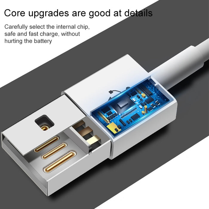 Cable de sincronización de datos de 3 m y 30 pines para iPhone / iPad, longitud: 3 m
