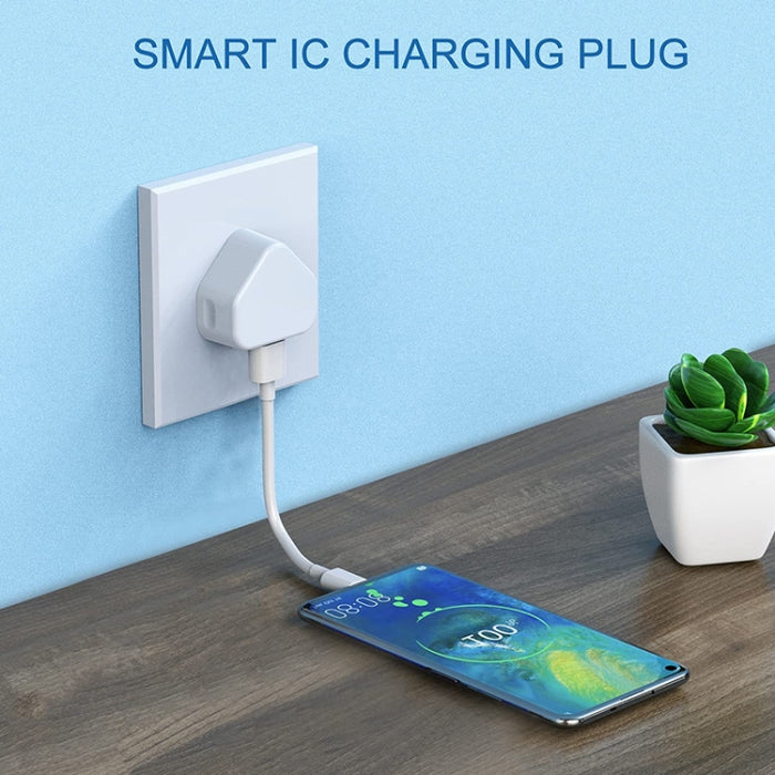 Adaptador de cargador USB de 5V / 1A (enchufe del Reino Unido) para iPhone, Galaxy, Huawei, Xiaomi, LG, HTC y otros teléfonos inteligentes, dispositivos recargables
