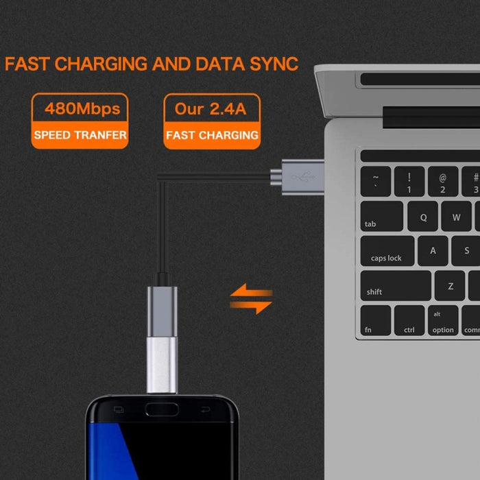Adaptador de carcasa metálica de 8 pines hembra a USB-C/tipo-C macho