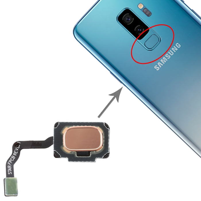 Para Galaxy S9 / S9+ Cable flexible con sensor de huellas dactilares