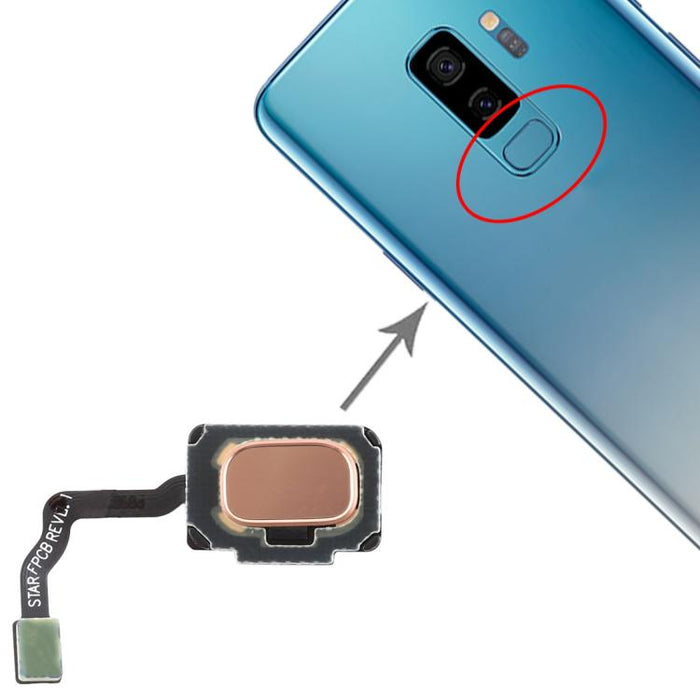 Para Galaxy S9 / S9+ Cable flexible con sensor de huellas dactilares