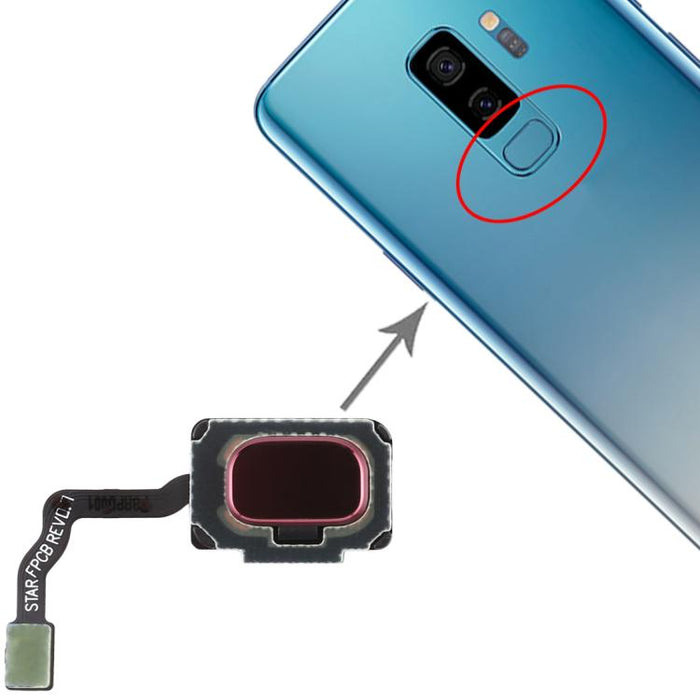 Para Galaxy S9 / S9+ Cable flexible con sensor de huellas dactilares
