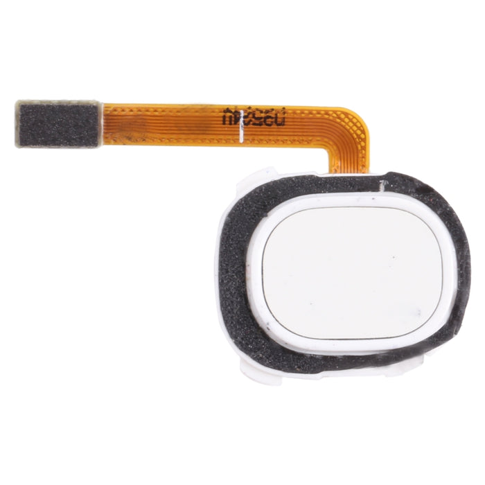 Cable flexible para sensor de huellas dactilares Samsung Galaxy A20e / A20