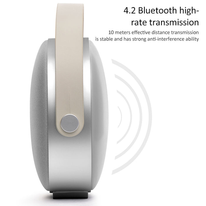 W-KING T8 Altavoz HIFI 30W Altavoz Bluetooth portátil de alta potencia Inalámbrico con radio FM para altavoz Bluetooth móvil